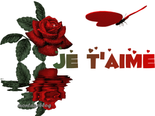 je t'aime mon coeur ...